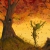 gillysilver