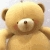han844wp