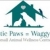 holisticpaws
