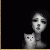 huongquan93