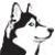 huskyjoe