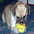 jessie12158