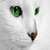 juliathecat