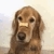 kimberly_johnson_69