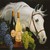 kitthorse1
