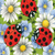 ladybug48