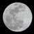 ladymoon