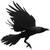 little_crow