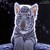 littlewhitetiger
