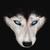 lonewolf1996