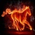luvs_to_ride