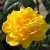 maybelle58