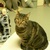 meoww1357