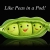 mygreenworld