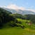 nature7