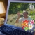 nelu1953