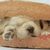 padlock37