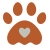 petcarefull