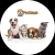 petdisease