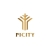 picity-skypark
