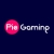 piegaming05