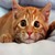 pjeanmc282