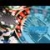 pokerfun88135