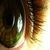 purogto
