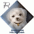 roniwright