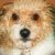 sandragrace