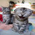 sandykay