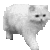 sawnoff