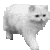 sawnoff