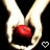 scematic21
