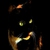 smallkattman