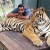 swiggz