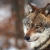 tezzy930