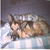 tigerlilly2