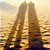 treaclecat1