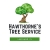treeservicelakeland
