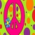 tulips44