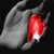 umar_javed276