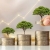 wealth-management