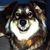 xwolfe