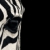 zebra3