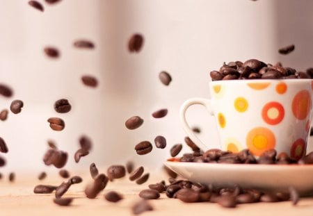 Coffee - cup of coffee, cup, coffee, coffee beans