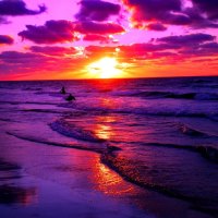 Purple waves