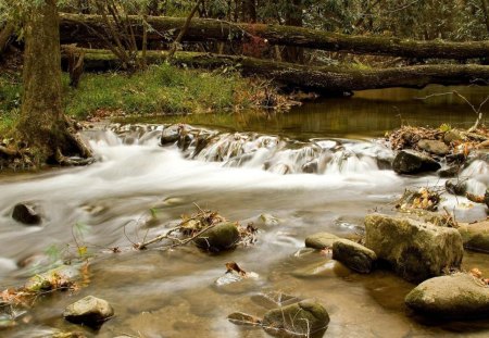 Flowing River - trees, daylight, logs, day, water, rocks, nature, river, grass