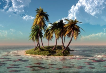 Island - nature, island, palm, sea