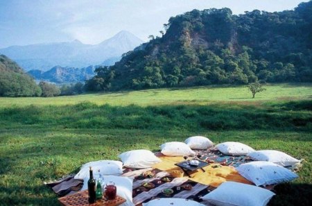 Summer picnic for DN buddies! - summer, buddies, grass, wines, pic, bottles, fun, field, image, food, nature, picnic, photo, sky, pillows, trees, day, mountian, green